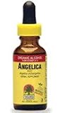 Angelica Root Extract ( 1 Oz ) ( Organic Alcohol ) Nature's Answer