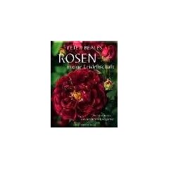 Rosen - meine Leidenschaft