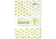 Bio Brausepulver 'Brain Storm'