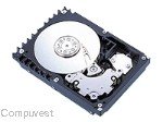 IBM 36.4GB 10000Rpm Hot-Swap Hard Drive (32P0726)