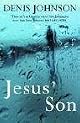 Jesus' Son: Stories by