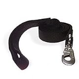Pet Supplies : Aspen Pet 1' Single Ply Nylon Dog Leash