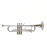 Stomvi 5311 Mambo Titanium Bb Trumpet (Silver)