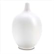 White Ceramic Longneck Vase