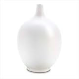 White Ceramic Longneck Vase