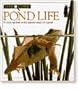 Look Closer: Pond Life