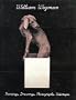 William Wegman: Paintings, Drawings, Photographs, Videotapes