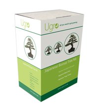 U Gro Japanese Bonsai Tree Double Seed Kit - Japanese Black Pine and Japanese Cedar