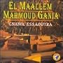 Gnawa Essaquira
