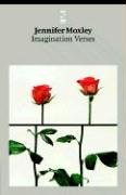 Imagination Verses (Salt Modern Poets)