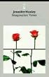Imagination Verses (Salt Modern Poets)