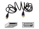 Belkin Components - Gold Series USB A/B Extention Cable 6 ft