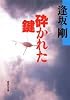 砕かれた鍵 (百舌シリーズ) (集英社文庫)