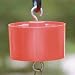 Ant Trap