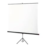 Braun Projector Screen 180x180cm Tripod Mounted