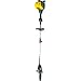 Poulan Pro PP338PT 8-Inch 33cc 2-Stroke Gas Powered Pole Pruner With String Trimmer Attachment