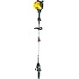 Poulan Pro PP338PT 8-Inch 33cc 2-Stroke Gas Powered Pole Pruner With String Trimmer Attachment