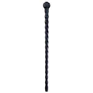 African Walking Stick African Walking Stick