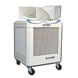 Schaefer Waycool 1/3 HP Oscillating Cooler