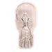 Genuine Kirby Light Bulb for G3, G4, G5, G6, Ultimate G, Diamond and Sentria