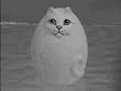 Smooth White Kitty Collectible Resin Figure
