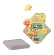 Kookamunga Kitty Swat Exerciser, Colors Vary