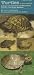 Books : Turtles in Your Pocket: A Guide to Freshwater and Terrestrial Turtles of the Upper Midwest (Bur Oak Guide)