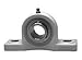 AMI MUCPPL205-16W 1 Stainless Set Screw White Pillow Plastic HOUSING