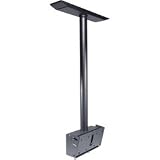 Ceiling Mount with Tilt and Swivel