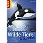 Wilde Tiere häkeln: Gefährlich kuschelig