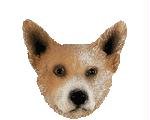 Australian Cattle Head for Conversation Concepts Doogies