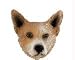 Australian Cattle Head for Conversation Concepts Doogies