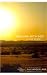 Walking with God in the Desert Discovery Guide with DVD: Seven Faith Lessons