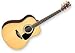 YAMAHA ���}�n LLX6A NT �G���A�R �M�^�[