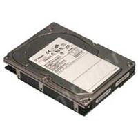 Seagate Cheetah 10K.7 - Hard drive - 73 GB - hot-swap - 3.5 - Ultra320 SCSI - 80 pin... by Seagate