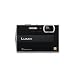 Panasonic Lumix DMC-FP8 12.1MP Digital Camera with 4.6x POWER Opical Image Stabilized Zoom and 2.7 inch LCD (Black)