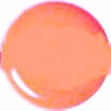 5ml Farbgel