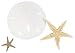 Sealife Treasures-Sand Dollar & Starfish Mix