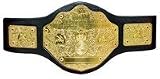 CEINTURE CATCH WWE CHAMPION POIDS LOURD