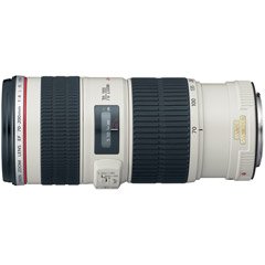 Canon EF 70-200mm f/4 L IS USM Lens for Canon Digital SLR Cameras