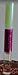 Britney Spears Fantasy Rollerball 2 in 1 Eau De Toilette & Lip Gloss - Temptress