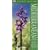Mediterranean Wildflowers (Pocket Nature)