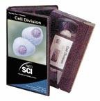 SciEd Cell Division: Mitosis, Meiosis, and Cytokinesis VHS Video