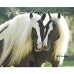 Gypsy Vanner Horses 2009 Wall Calendar