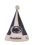 Penn State Nittany Lions Santa Hat