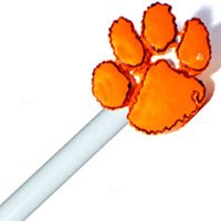 Curtain Rod - Clemson University