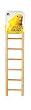 PH WOOD LADDER 7 STEP