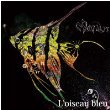 L’oiseau bleu(初回限定盤)