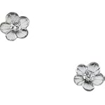 14k White