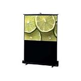 Draper Traveller 230107 Portable Projection Screen - 48